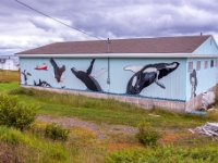 Cape Bonavista